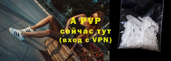 стаф Абаза