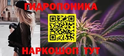 spice Ачхой-Мартан