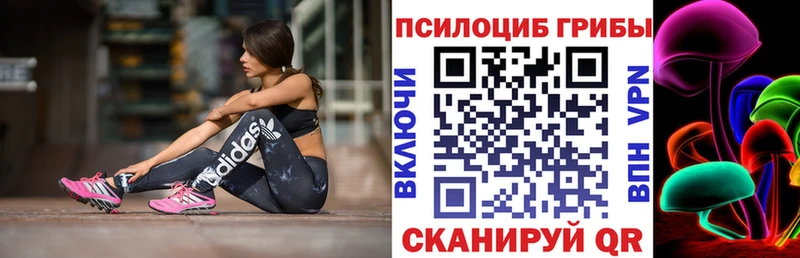 наркотики  Тейково  дарк нет состав  Псилоцибиновые грибы ЛСД 