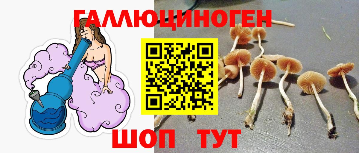 Псилоцибиновые грибы Cubensis Тейково